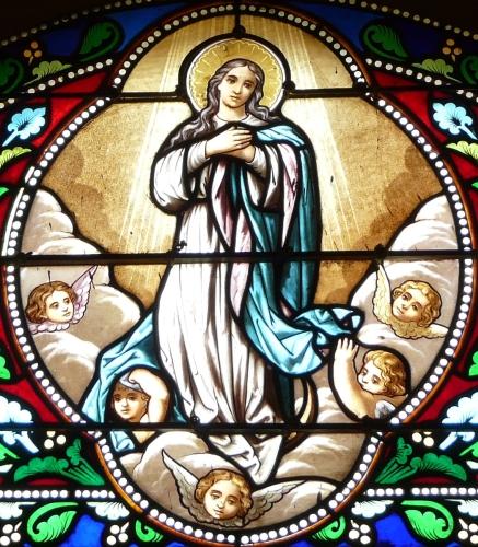 Assumption of The Blessed Virgin Mary - Catholic Saint | Saint for a ...